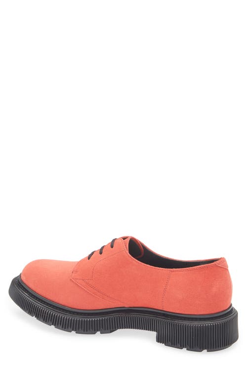 Adieu Plain Toe Derby In Poppy