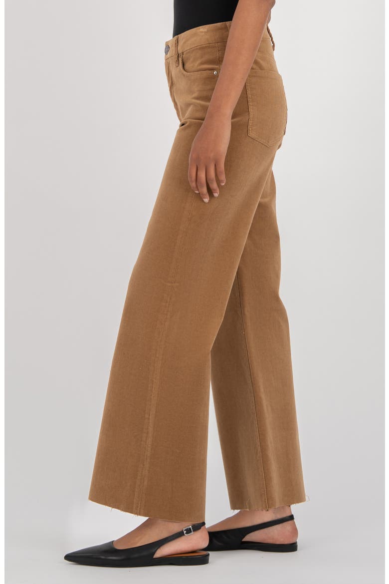 Meg Fab Ab High Waist Wide Leg Jeans, Alternate, color, CAMEL