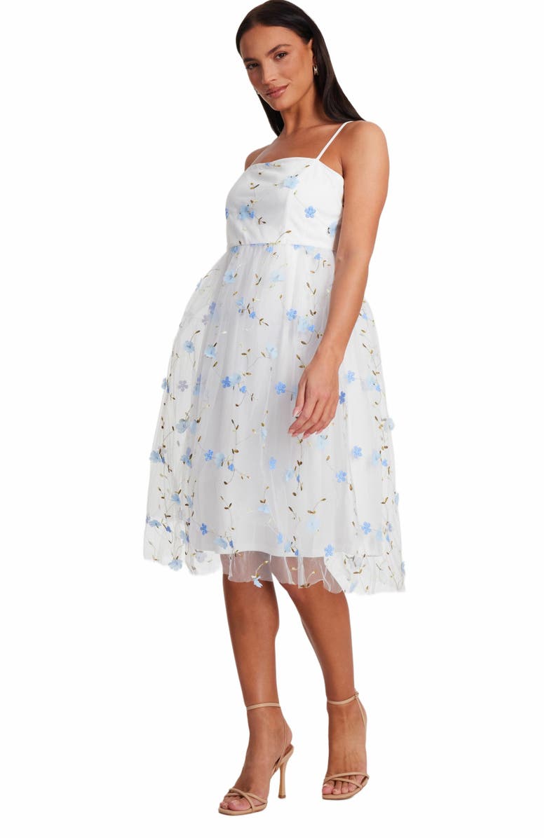 QUIZ Embroidered Mesh Floral Midi Dress, Alternate, color, White