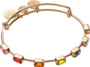 Alex and Ani Rainbow Ombre Inline Bangle Bracelet