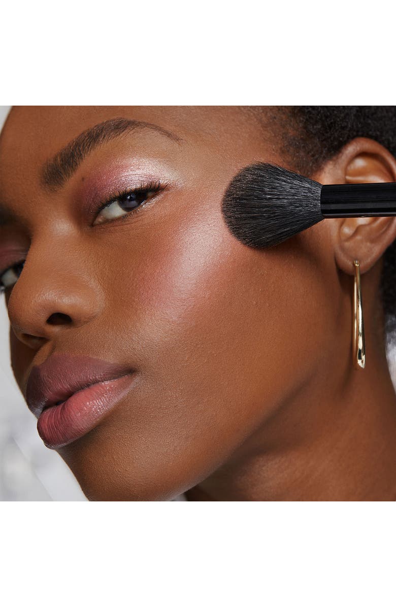 Bobbi Brown Sheer Powder Brush, Alternate, color, 