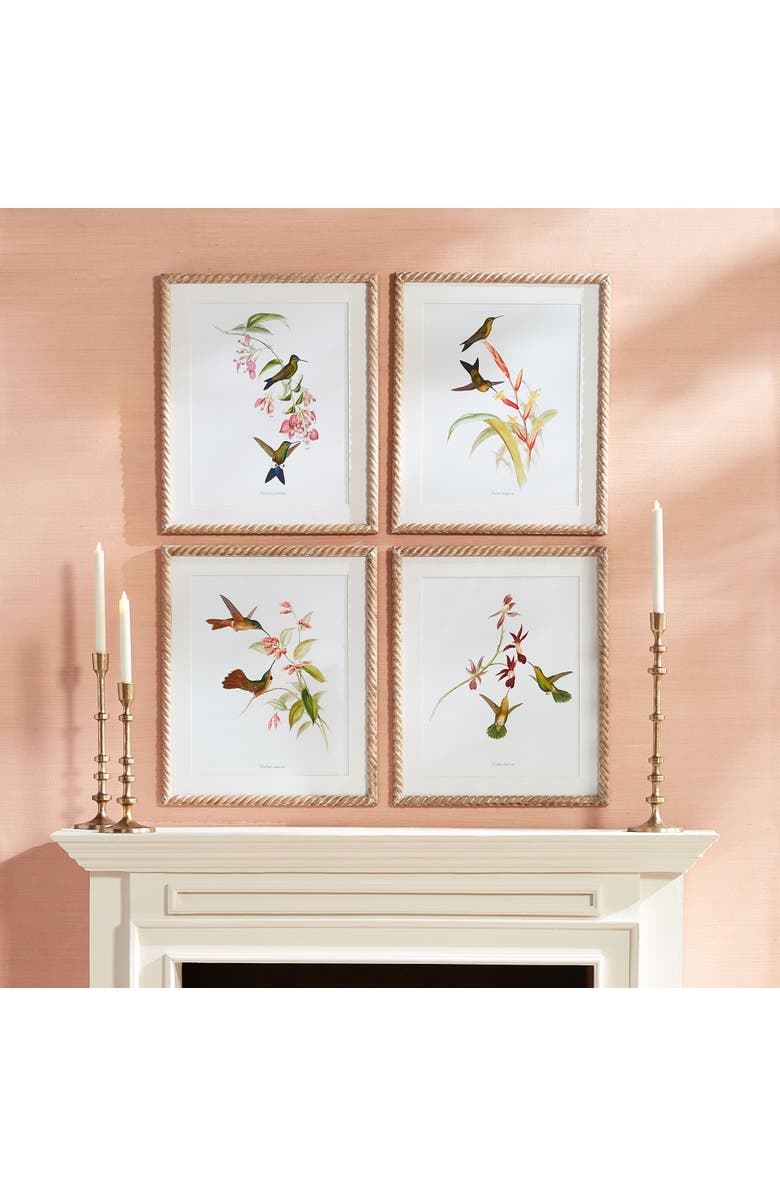 Napa Home & Garden Playful Hummingbird Prints Set of 4, Alternate, color, 