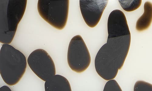 Portofino Candles Tortoise Garden Jar Candle In Multi