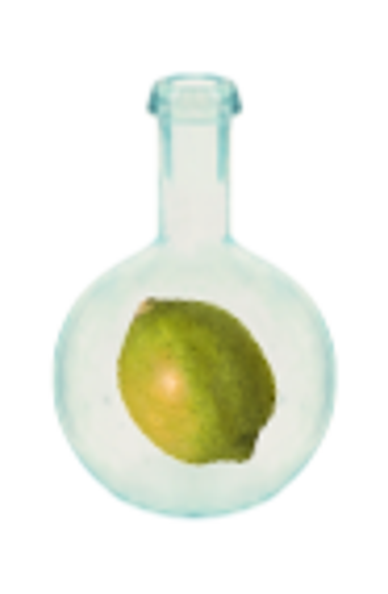 GRANADO Limão Taiti & Néroli Eau de Cologne 300ml, Alternate, color, Clear