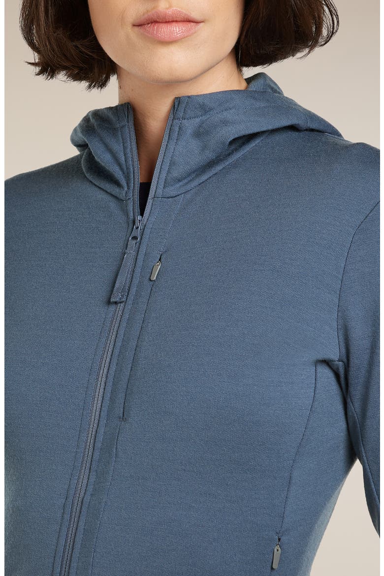 260 Quantum Merino Wool Hooded Jacket, Alternate, color, DAWN