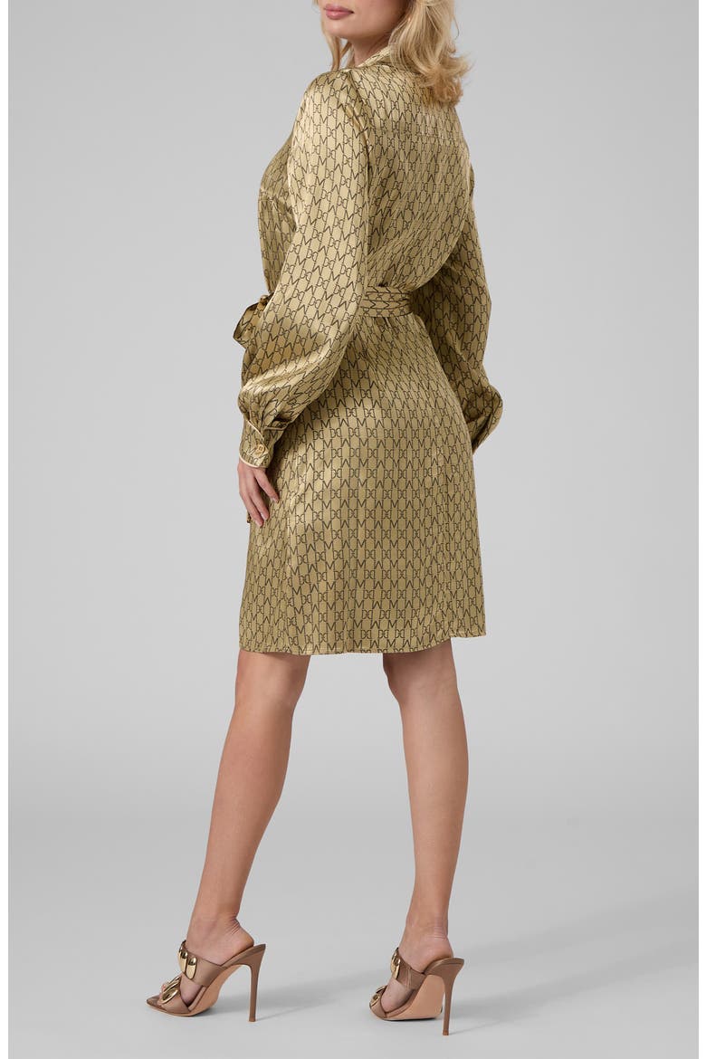 Sienna Belted Long Sleeve Shirt Dress, Alternate, color, GOLD