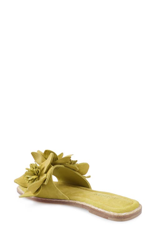 Zigi Artisan Aurra Slide Sandal In Yellow