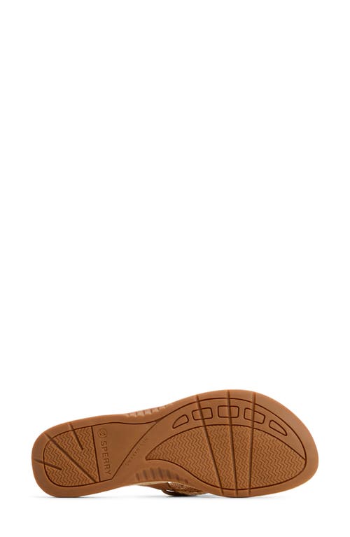 Sperry 'parrotfish' Thong Sandal