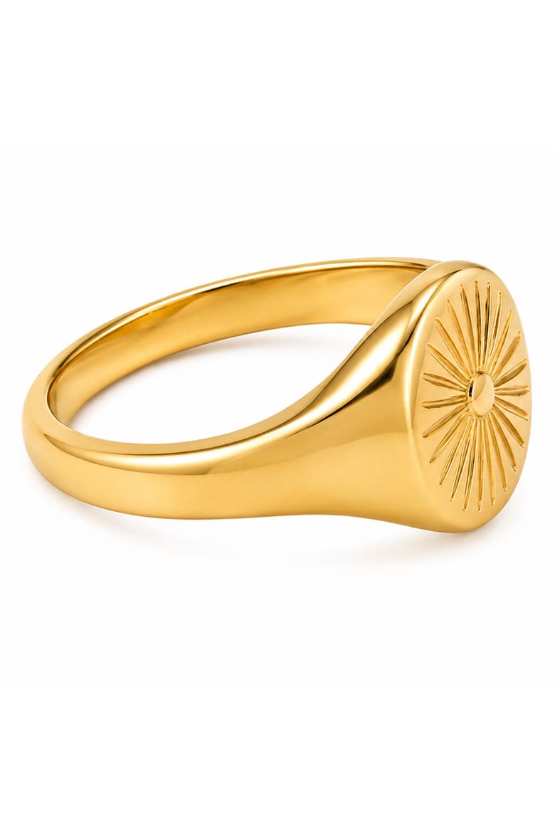 Golden Ray Signet Ring, Alternate, color, Gold