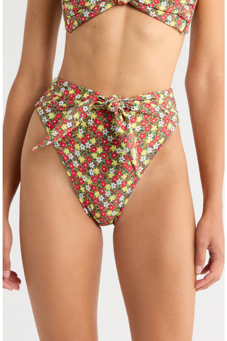 Sienna Paula Bikini Bottoms, Main, color, SIENNA FLORAL