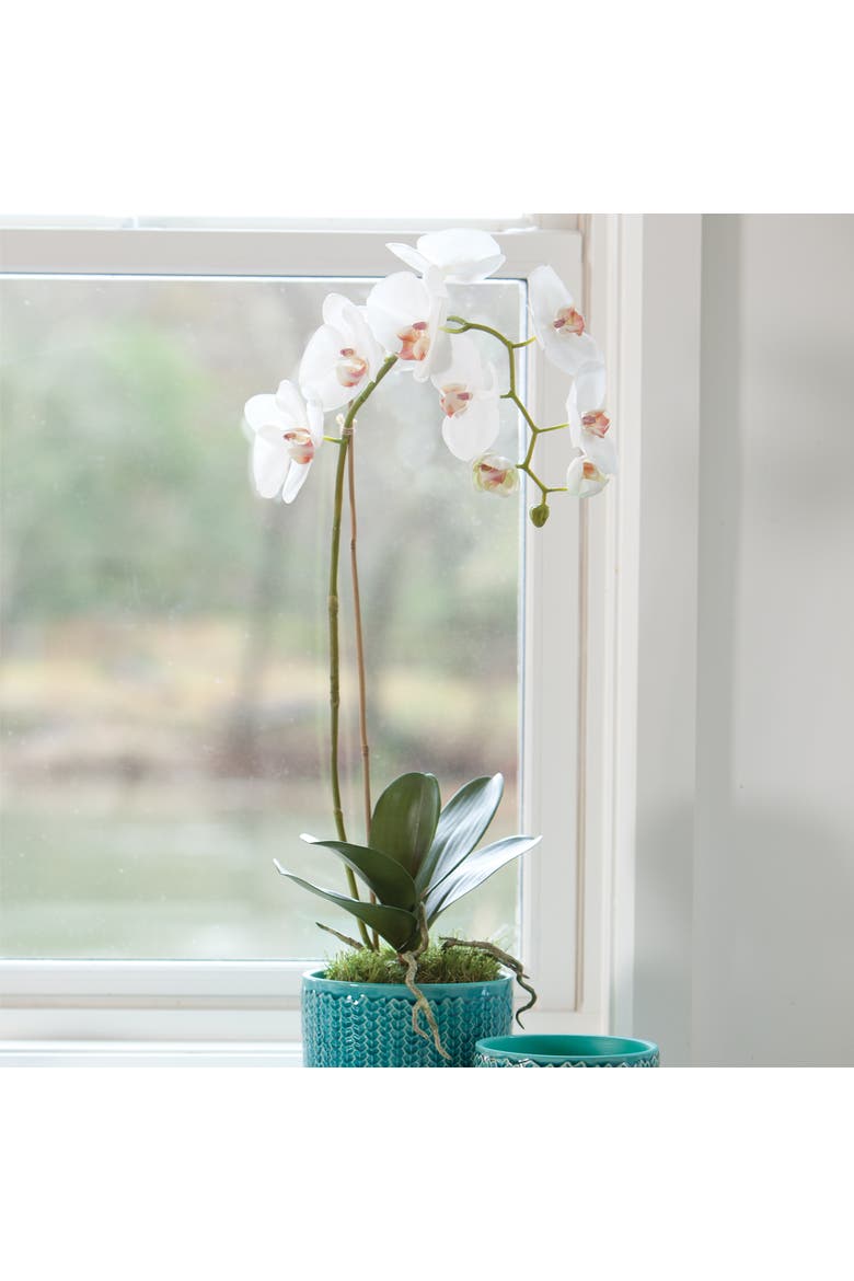 Phalaenopsis Orchid Faux (Fake) Drop-In 26", Alternate, color, White