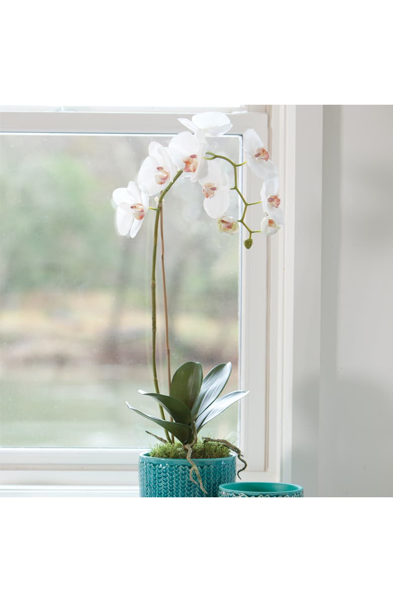 Napa Home & Garden Phalaenopsis Orchid Faux (Fake) Drop-In 26", Alternate, color, 