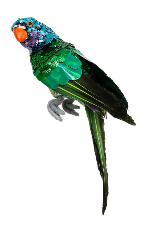 Sequined Parrot Decor, Small , Set of 6