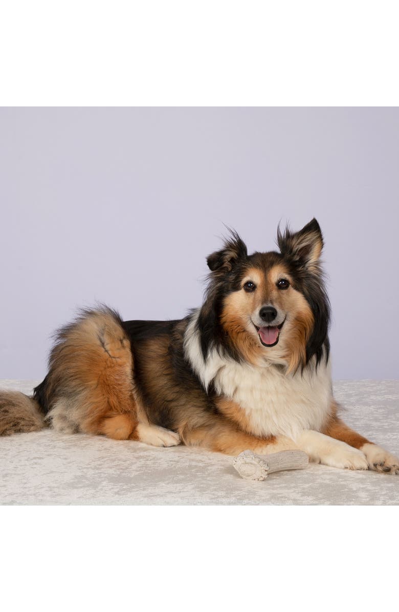 MOSSY OAK Deer Antler - Jumbo - Dog Chew, Whole Piece, Long-Lasting Pet Treat, Alternate, color, Multicolored