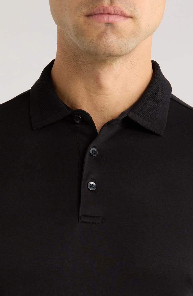Robert Barakett Georgia Long Sleeve Pima Cotton Polo, Alternate, color, Black