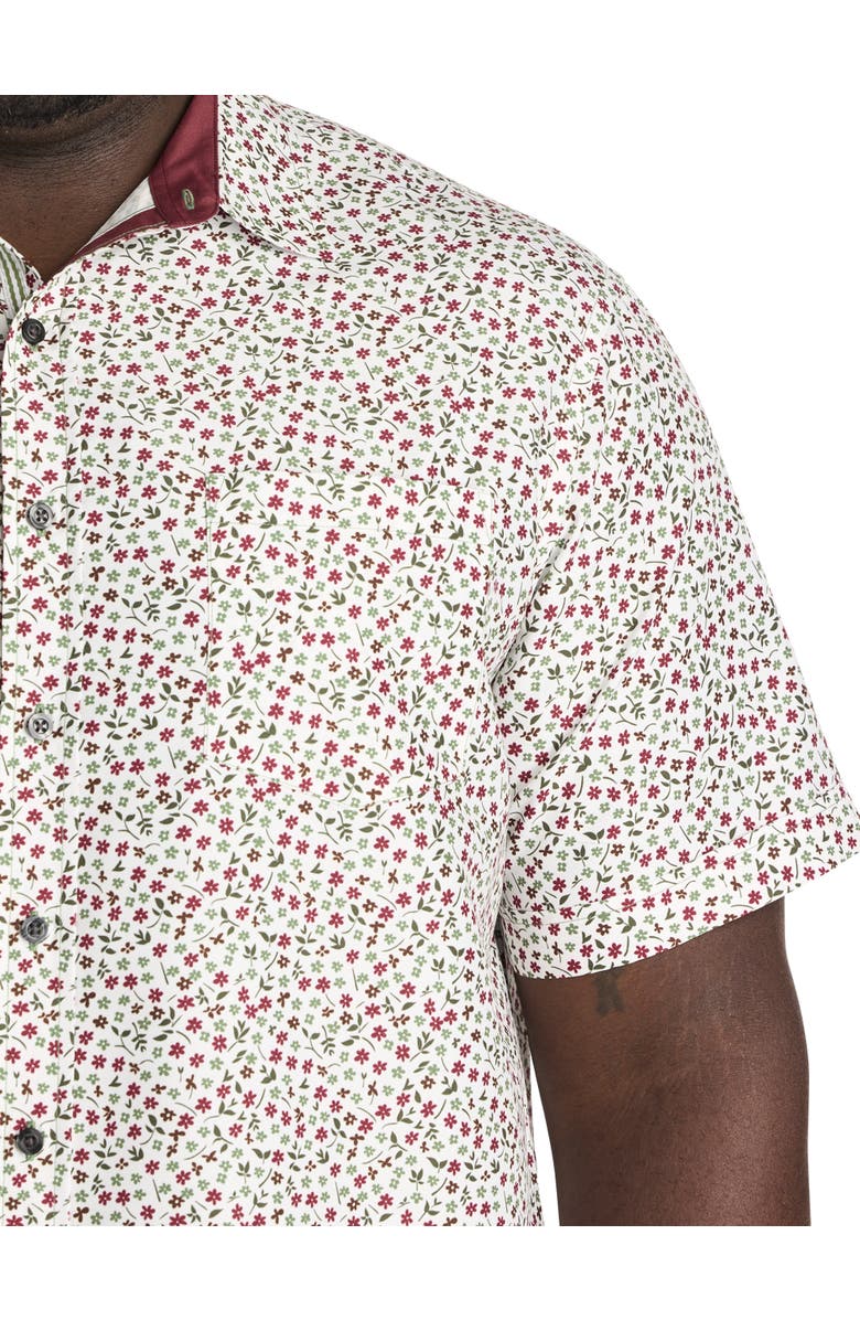 Synrgy by DXL Big & Tall Fall Floral Print Sport Shirt, Alternate, color, Multi