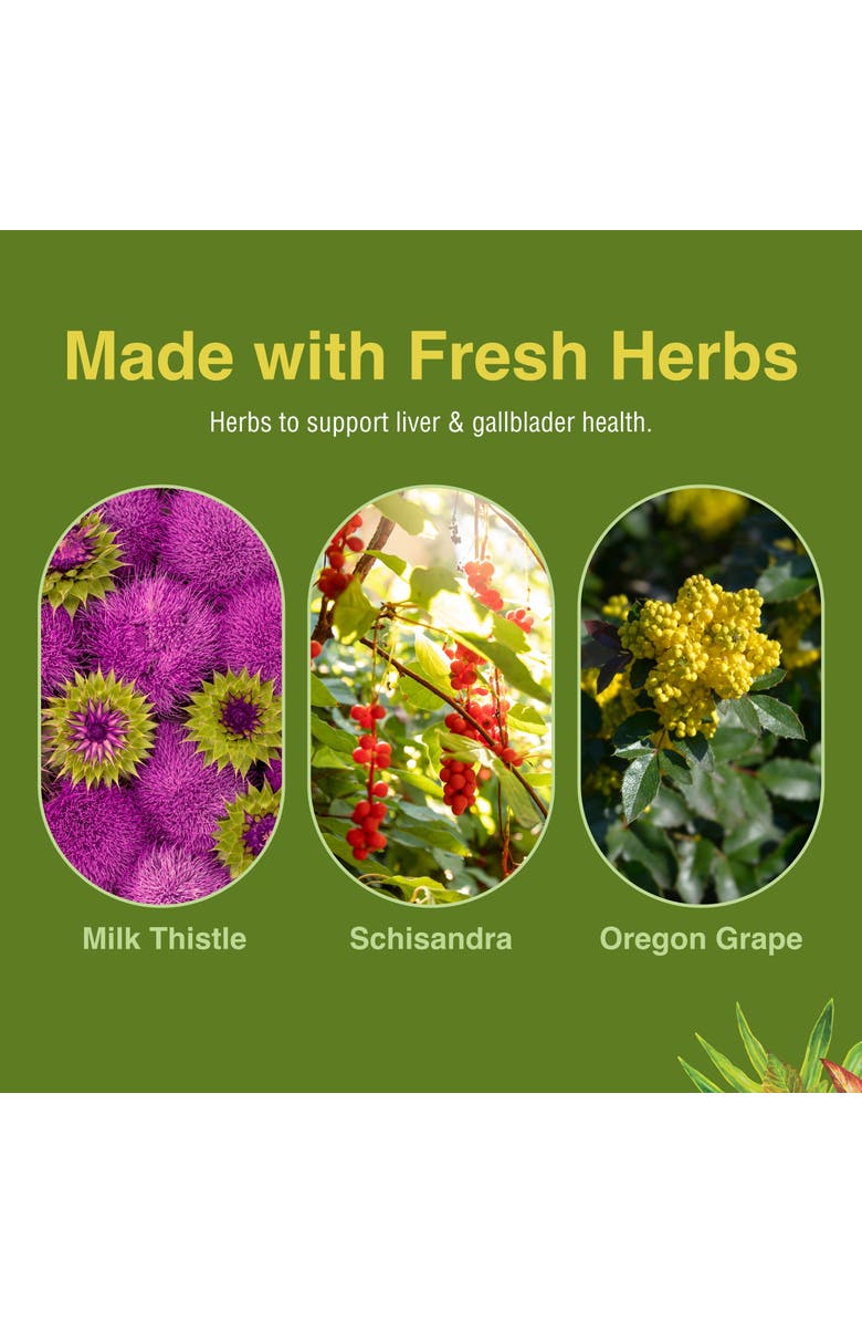 Trace Minerals Liver Tonic - Gallbladder Health Supplement with Herbal Formula - Aid Overall Liver Health with Milk Thistle, Schisandra & Oregon Grape - Support a Healthy Liver - 60 Softgels, Alternate, color, NO COLOR