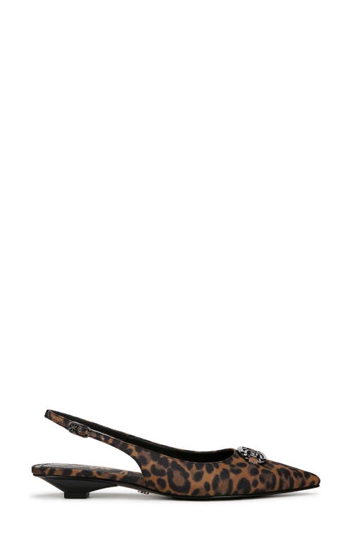 Sam Edelman Aggie Pointed Toe Slingback Flat