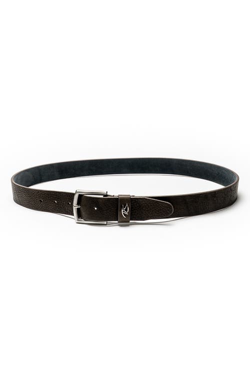 Robert Barakett York Leather Belt In Black
