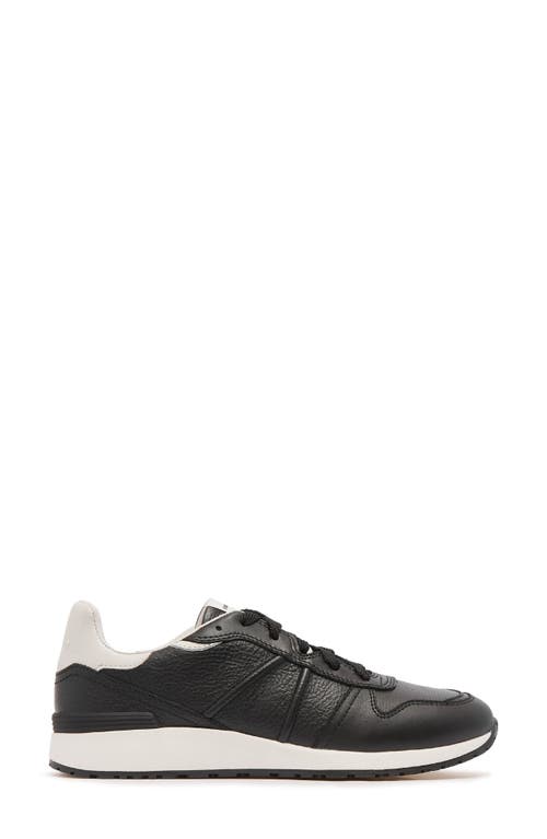 Frankie4 Raider Sneaker In Black