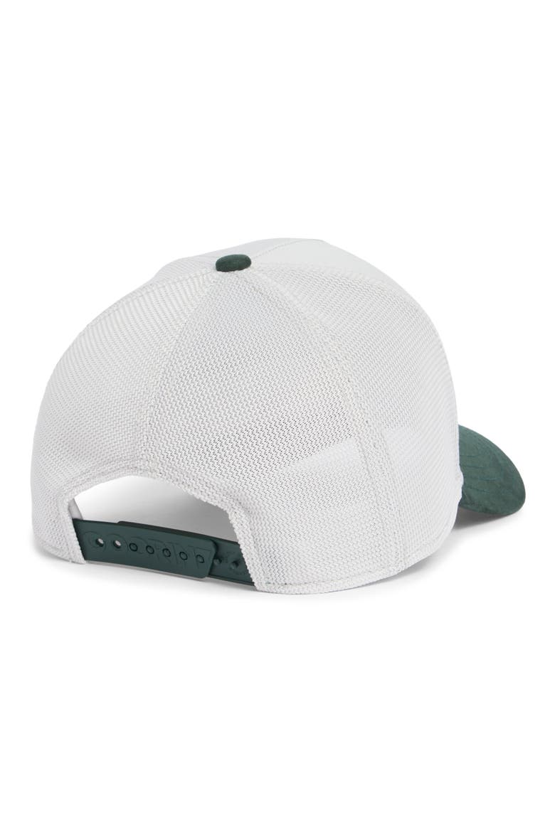 Snake Patch Baseball Cap, Alternate, color, GUARD