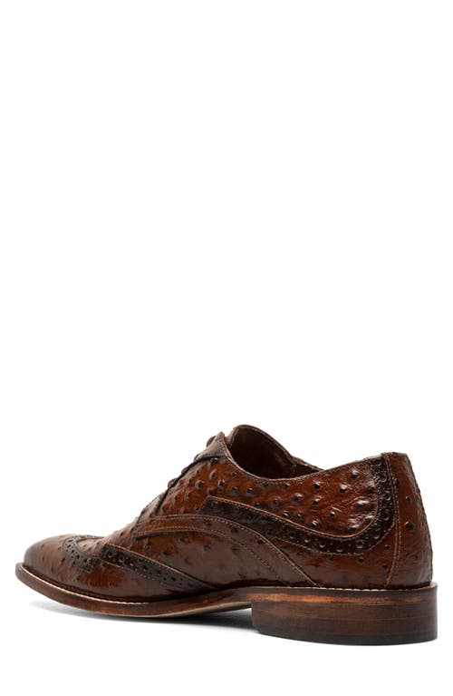 Stacy Adams Gennaro Wingtip Derby In Cognac