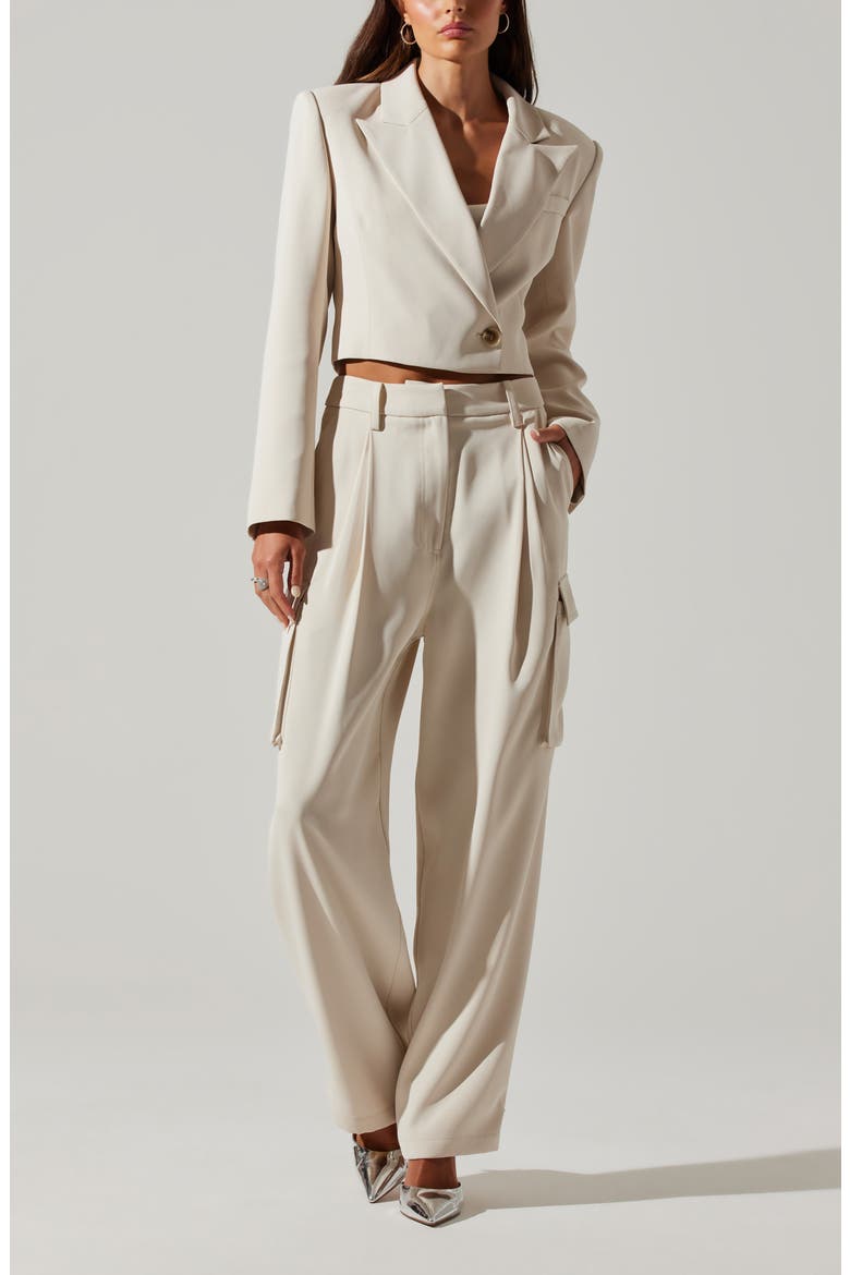 Denison Pleated Cargo Pants, Alternate, color, BONE