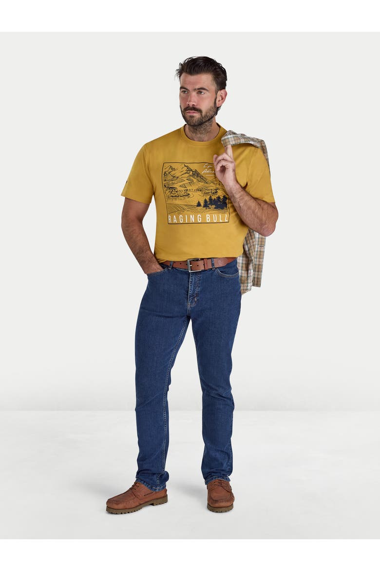 Mountain Adventures Printed T-Shirt, Alternate, color, Mustard