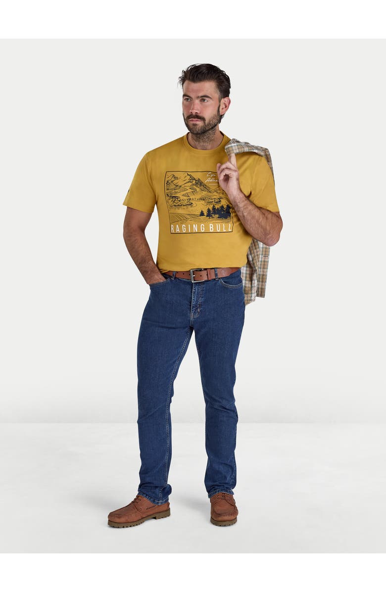 Raging Bull Mountain Adventures Printed T-Shirt, Alternate, color, Mustard