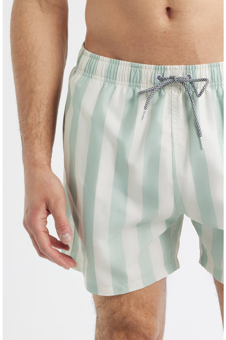 Stripe Swim Trunks, Alternate, color, GREEN/ CREAM