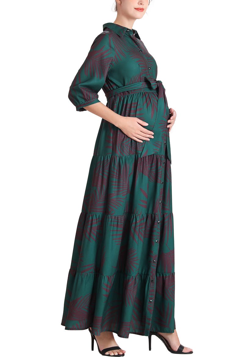 Abree Button Front Maternity Nursing Maxi Dress, Alternate, color, Multicolored
