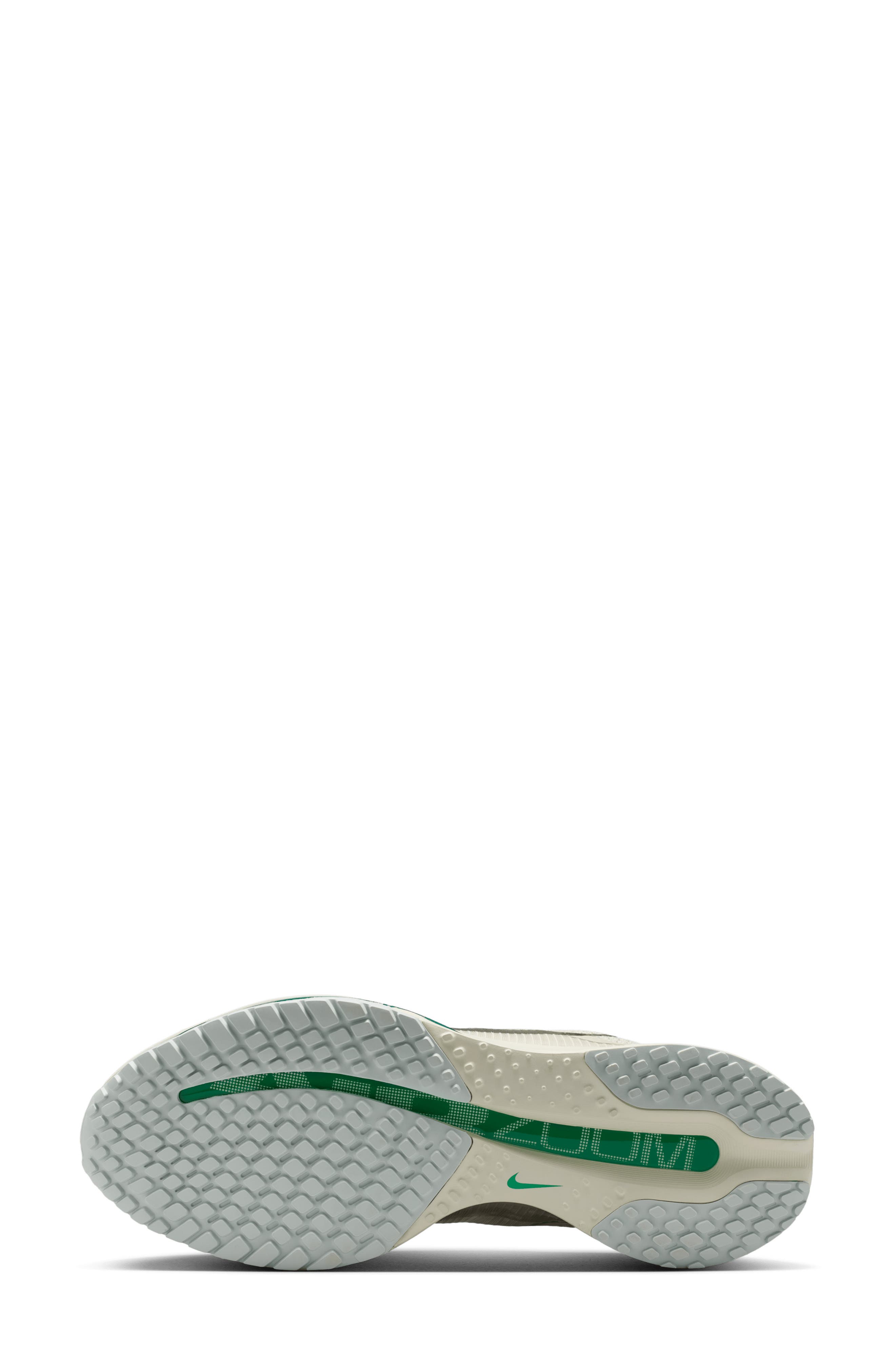 Pegasus Premium Running Shoe, Alternate, color, 008 SEAGLS/M SILV