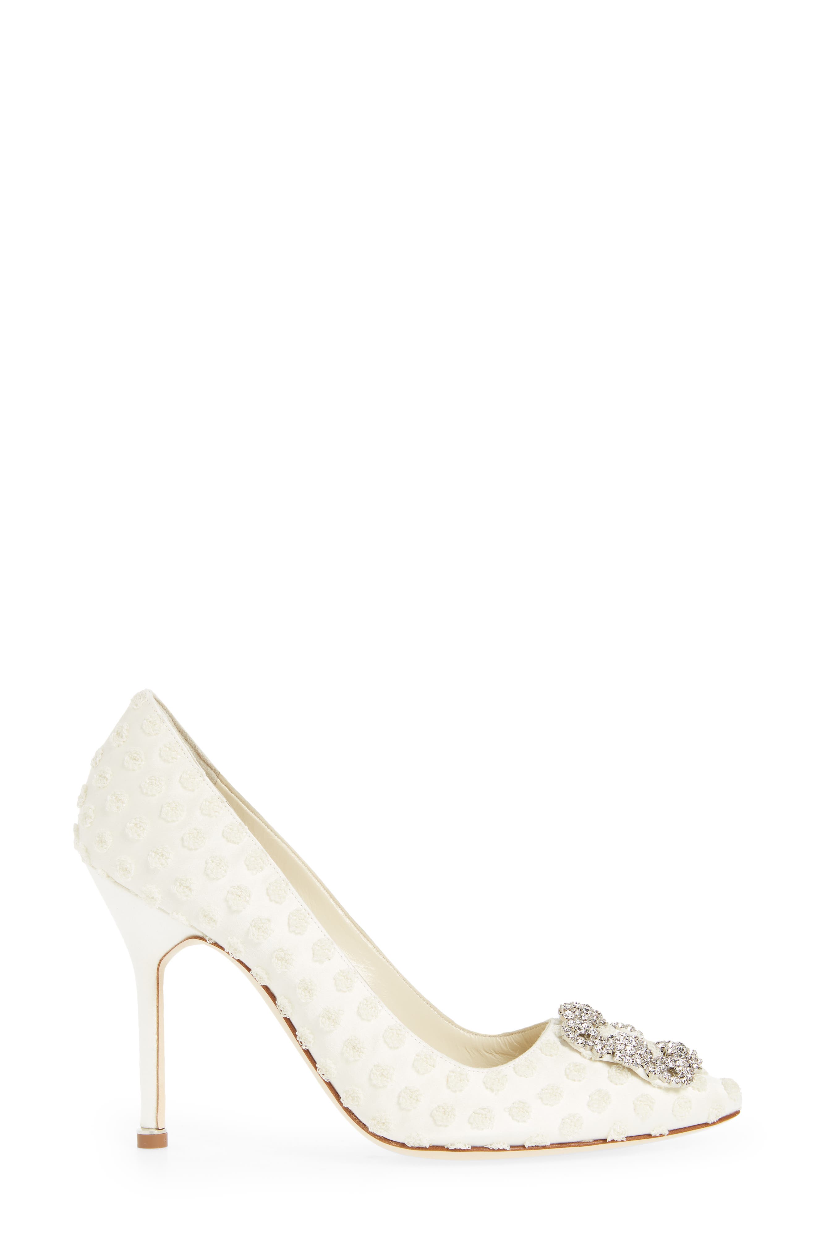 Manolo Blahnik Hangisi Pointed Toe Pump, Alternate, color, 