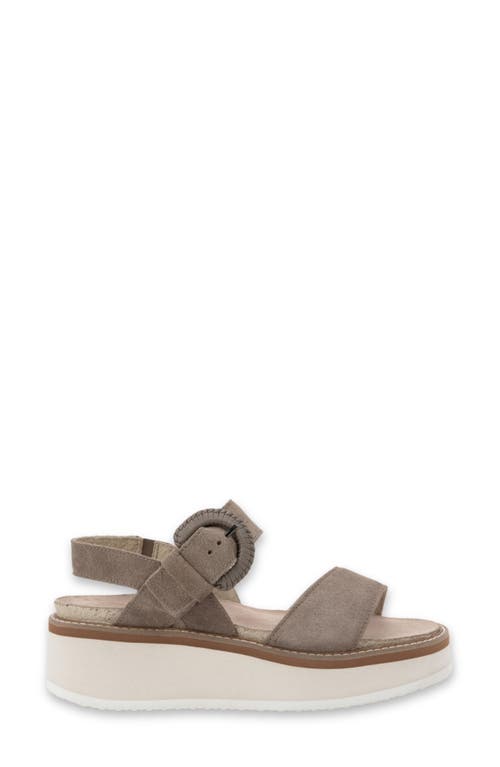 Naot Crepe Platform Sandal In Almond Suede