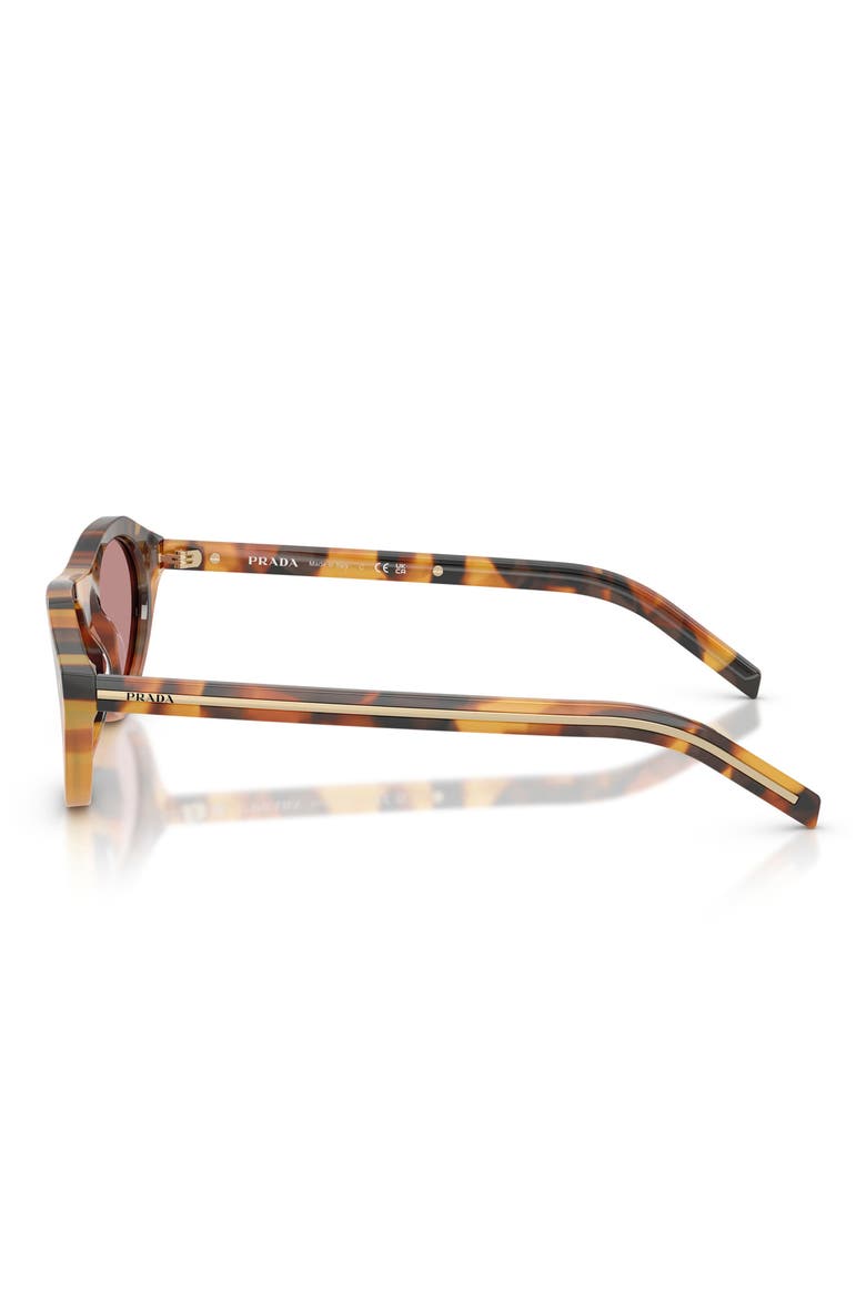 52mm Polarized Irregular Sunglasses, Alternate, color, CINNAMON TORTOISE/ PINK POLAR