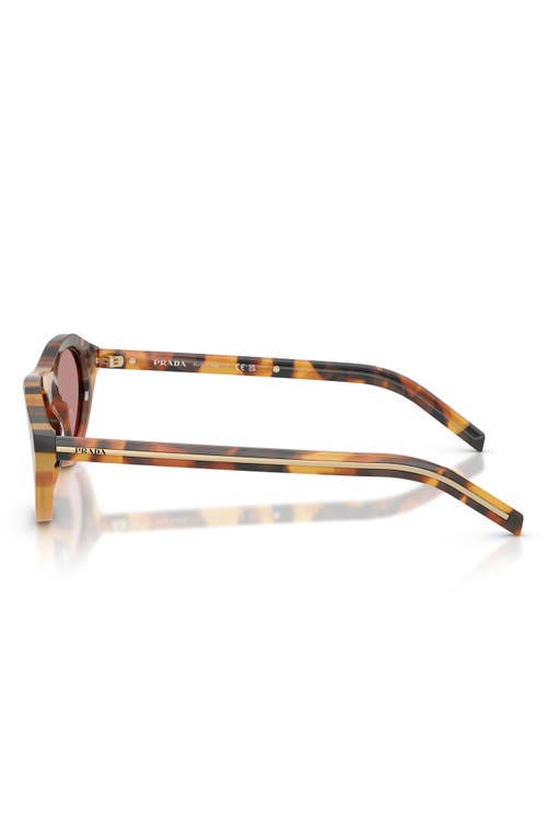 Prada 52mm Polarized Irregular Sunglasses