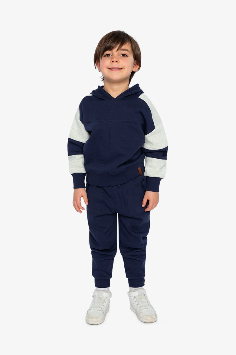 Hooded Striped Sleeve Ribbed Cuff Fleece Cardigan, Alternate, color, Dark Blue and Beige