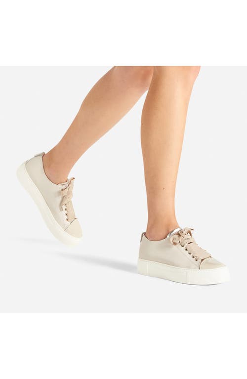 Agl Attilio Giusti Leombruni Agl Mollie Platform Sneaker In Talc-suga-sand-milk