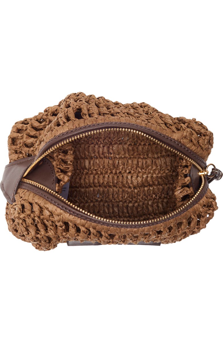 Sam Edelman Lizzie Raffia Crossbody Bag, Alternate, color, Dark Brown