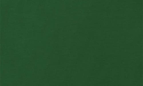 Students Attendance Oversize Cotton Graphic T-shirt In Green