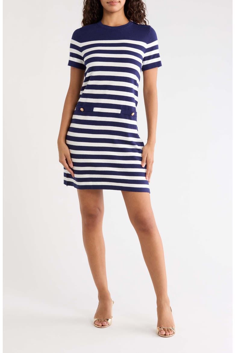 Ebie Stripe Sweater Dress, Main, color, NAVY WHITE