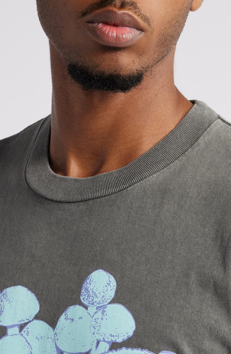 Afield Out Fungi Cotton Graphic T-Shirt, Alternate, color,