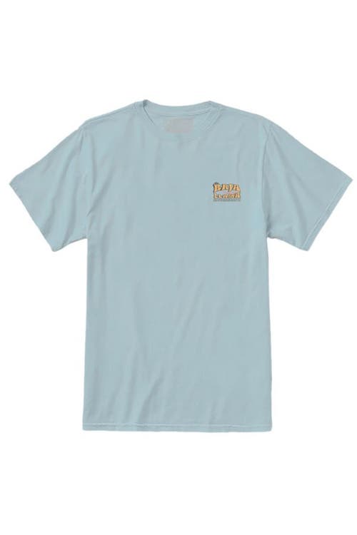 Baja Llama Bus Experience In Teal