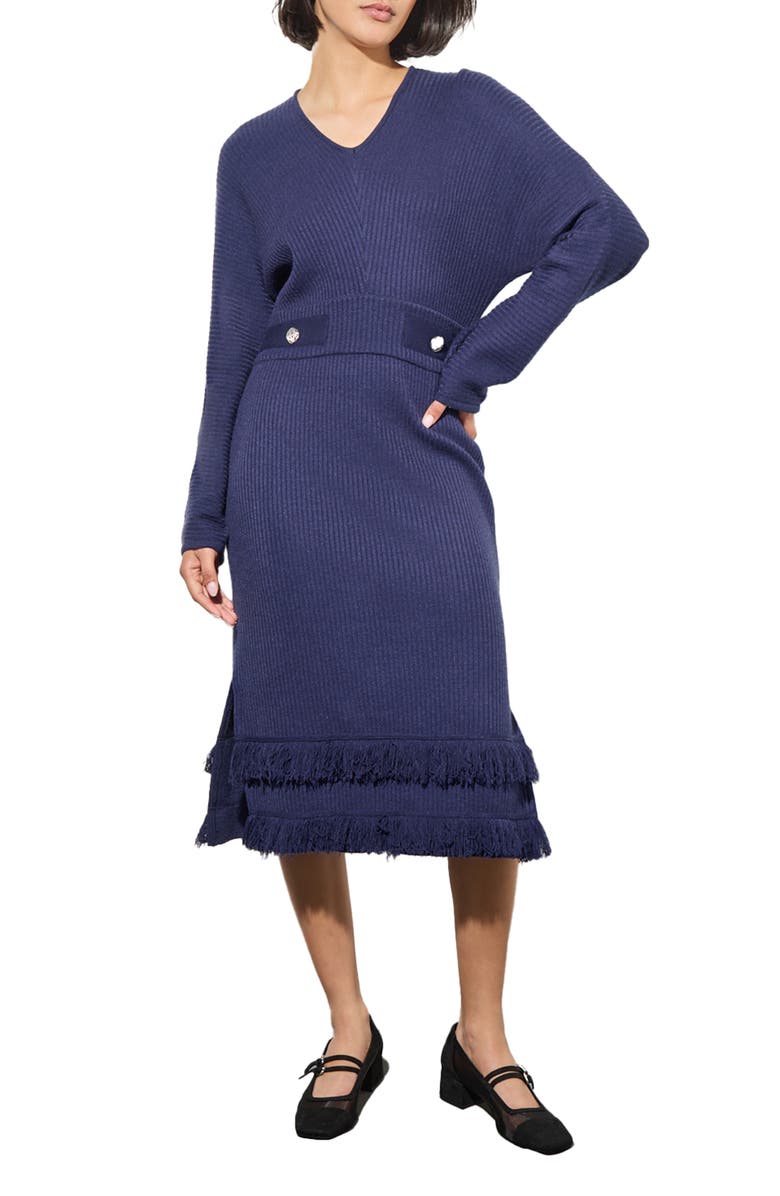 Ming Wang Fringe Long Sleeve Rib Dress, Main, color, 