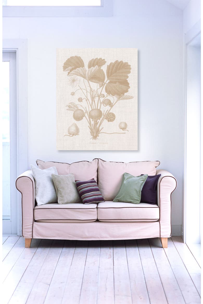 Fraisier II Canvas Wall Art, Alternate, color, WHITE