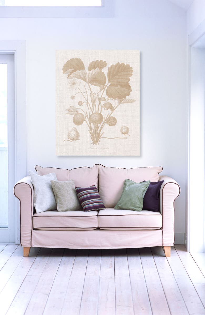 Oliver Gal Fraisier II Canvas Wall Art, Alternate, color, 