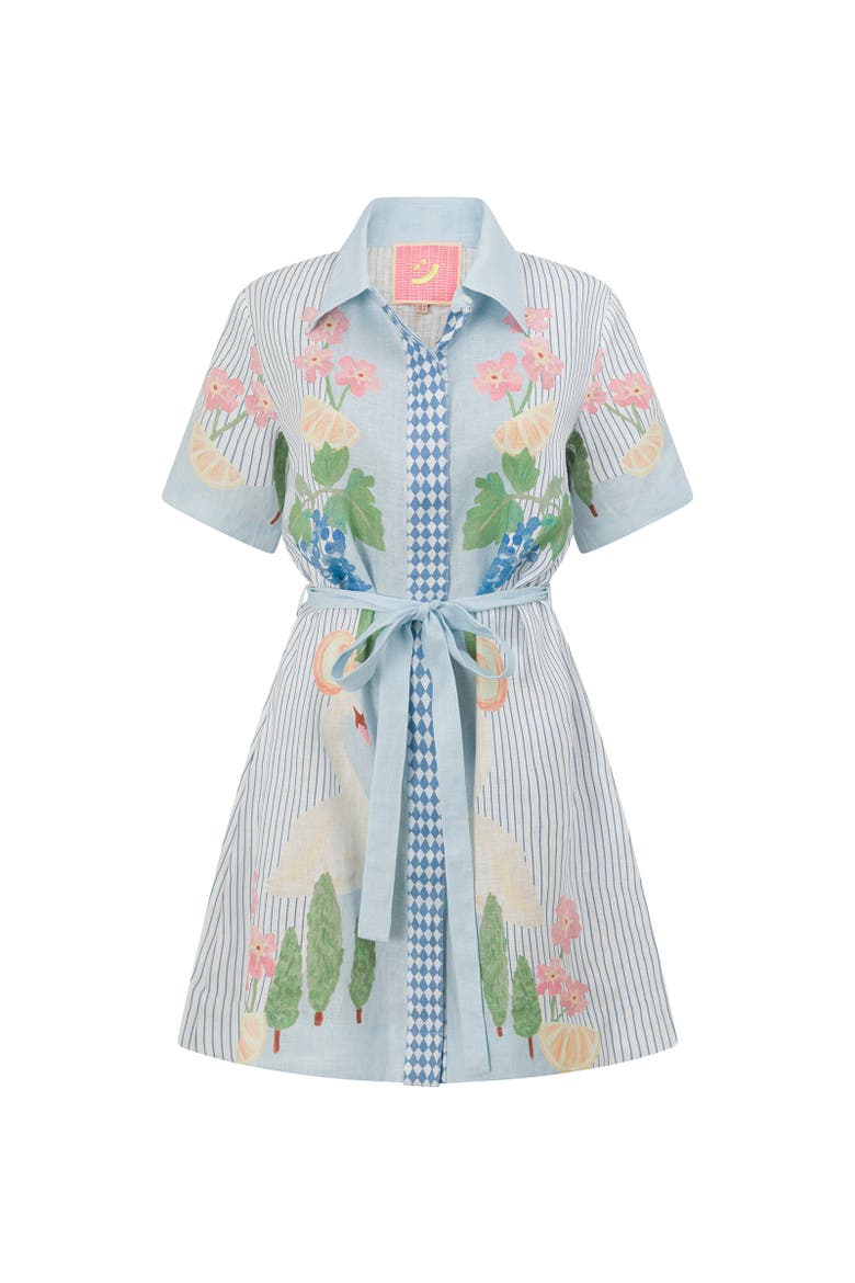 Swan Lake Mini Shirt Dress, Alternate, color, Light Blue