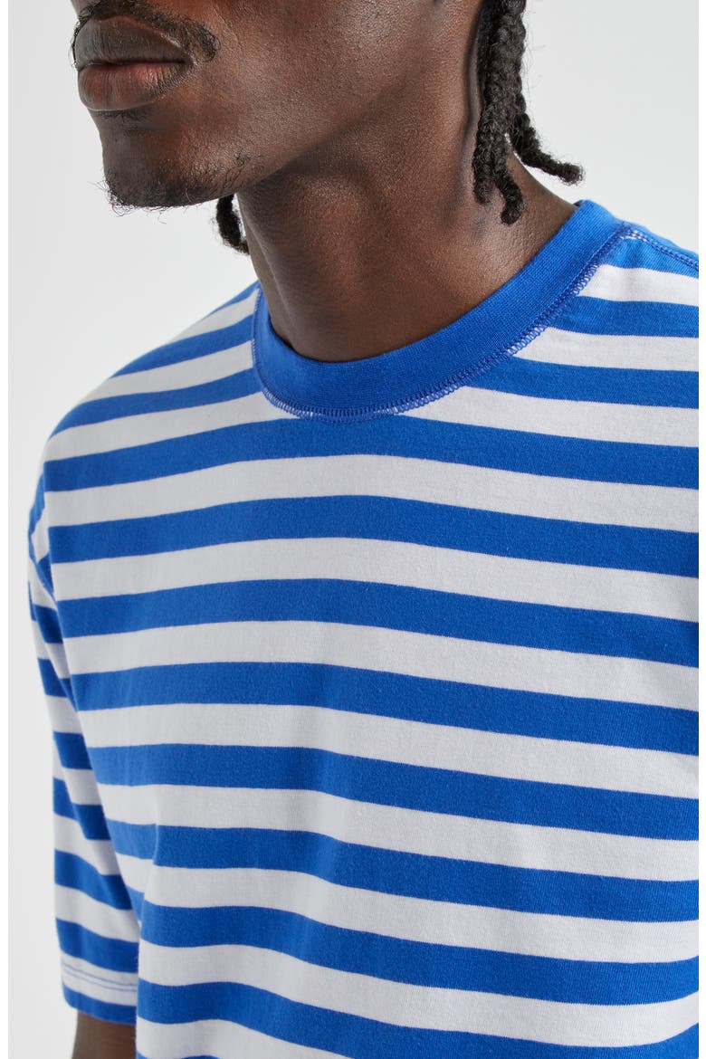Stripe Cotton Hiking T-Shirt, Alternate, color, NAVY AND WHITE