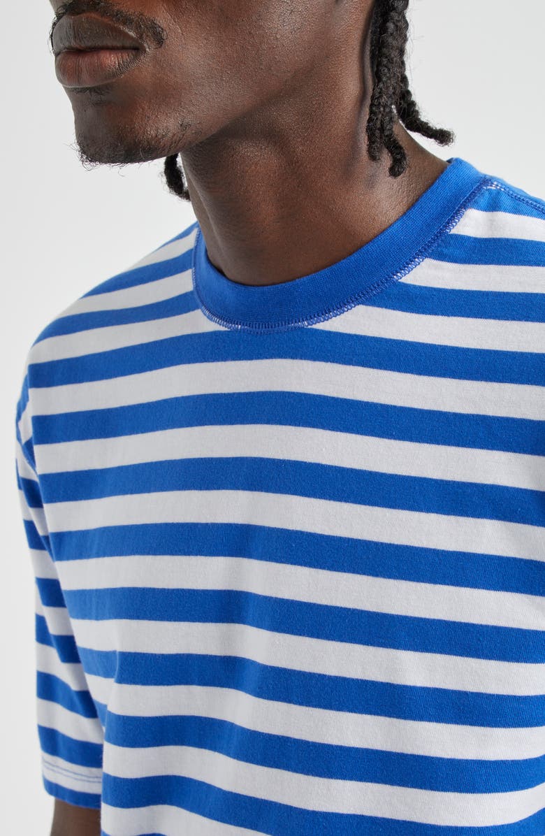 Drake's Stripe Cotton Hiking T-Shirt, Alternate, color, 