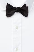 Ralph Lauren Purple Label Silk Bow Tie